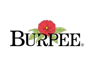 Burpee Coupon