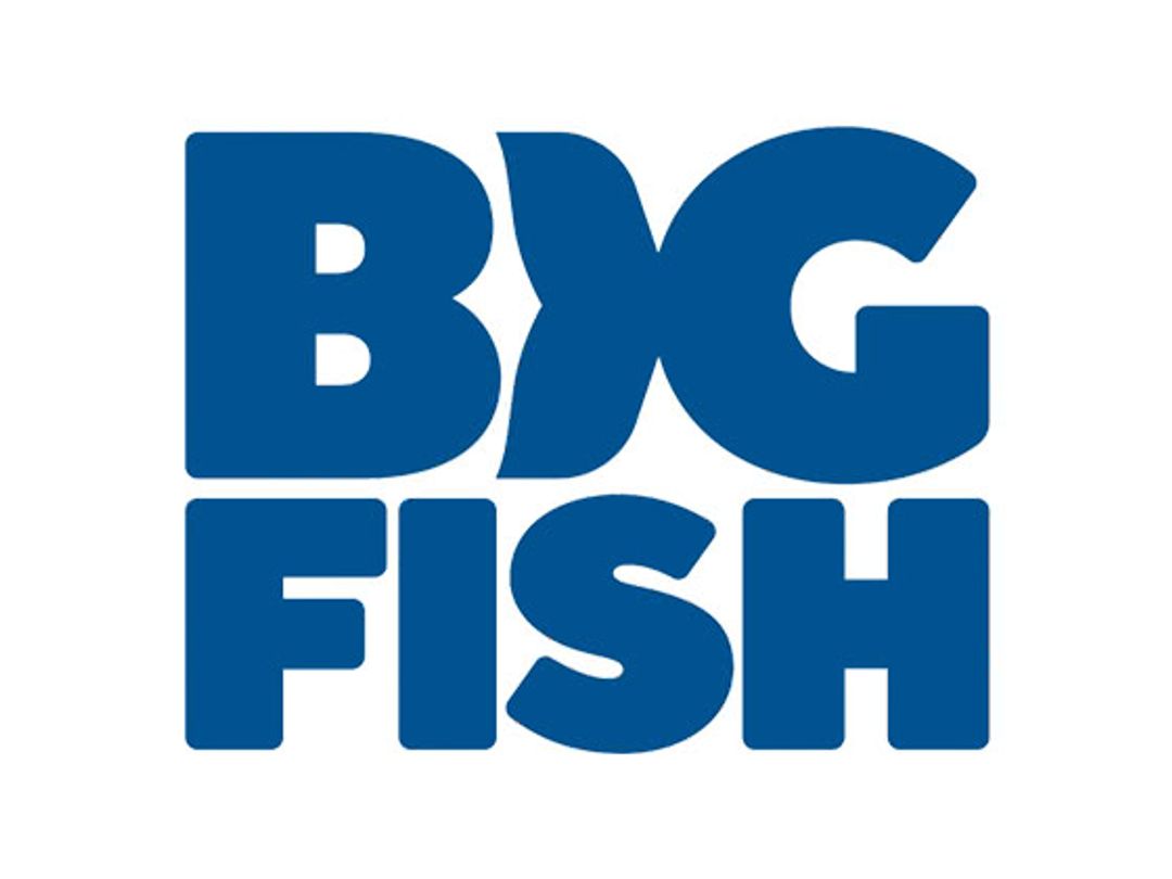 Big Fish Games Discount
