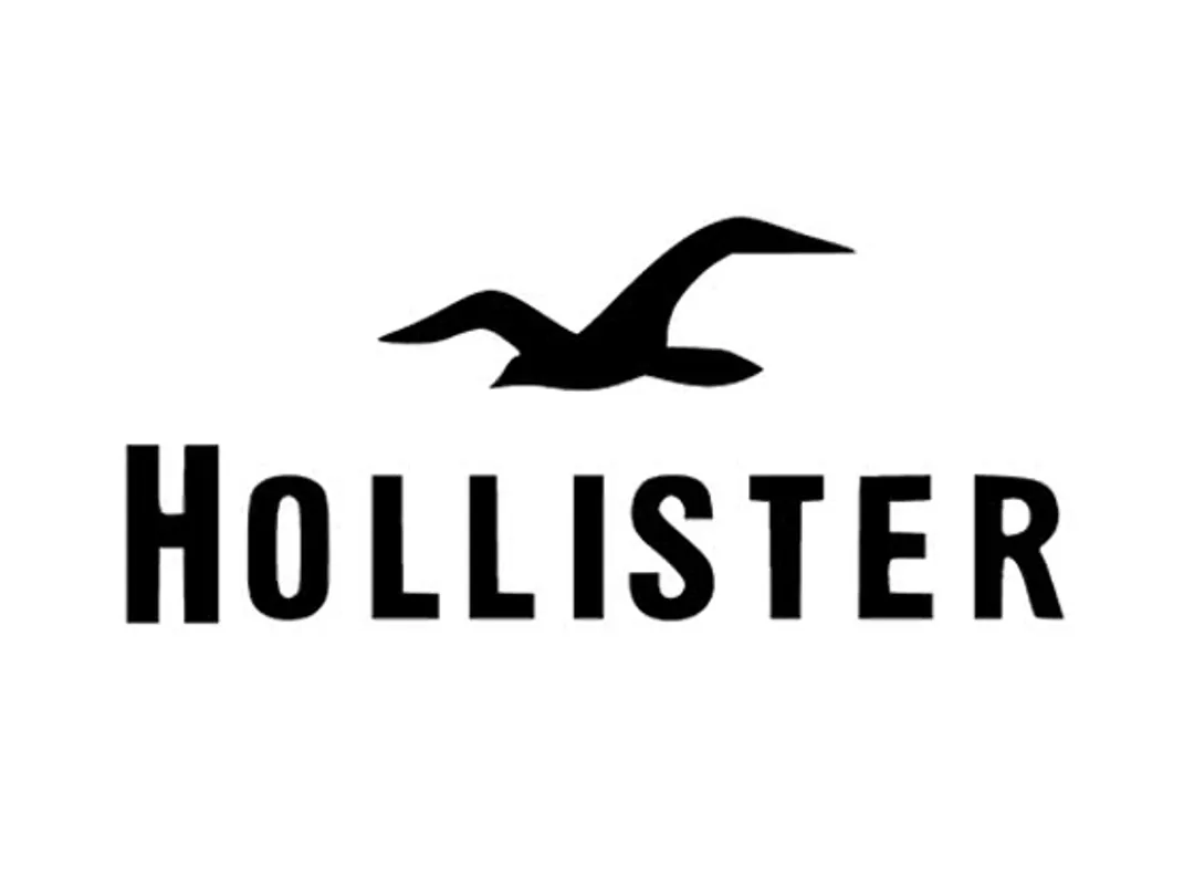 Hollister Discount