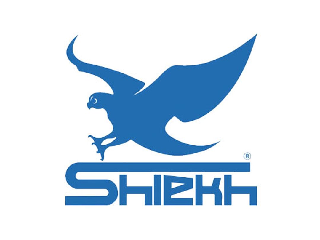 Shiekh Shoes Discount