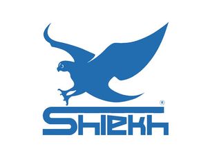 Shiekh Shoes Coupon