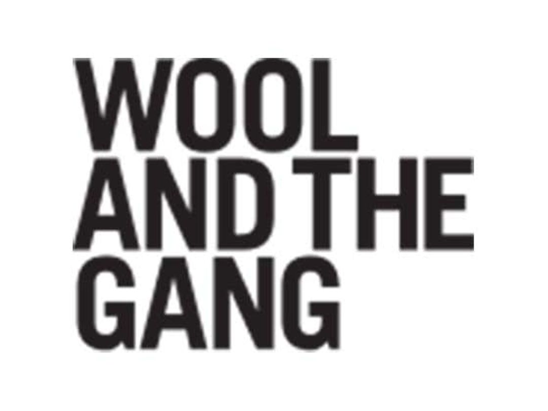 Wool and the Gang Discount
