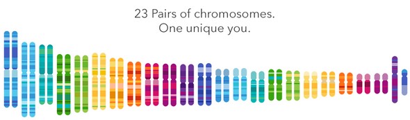 23andMe to Find Your Roots