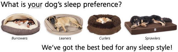 In The Company Of Dogs Beds Range