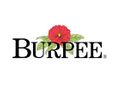 Burpee logo